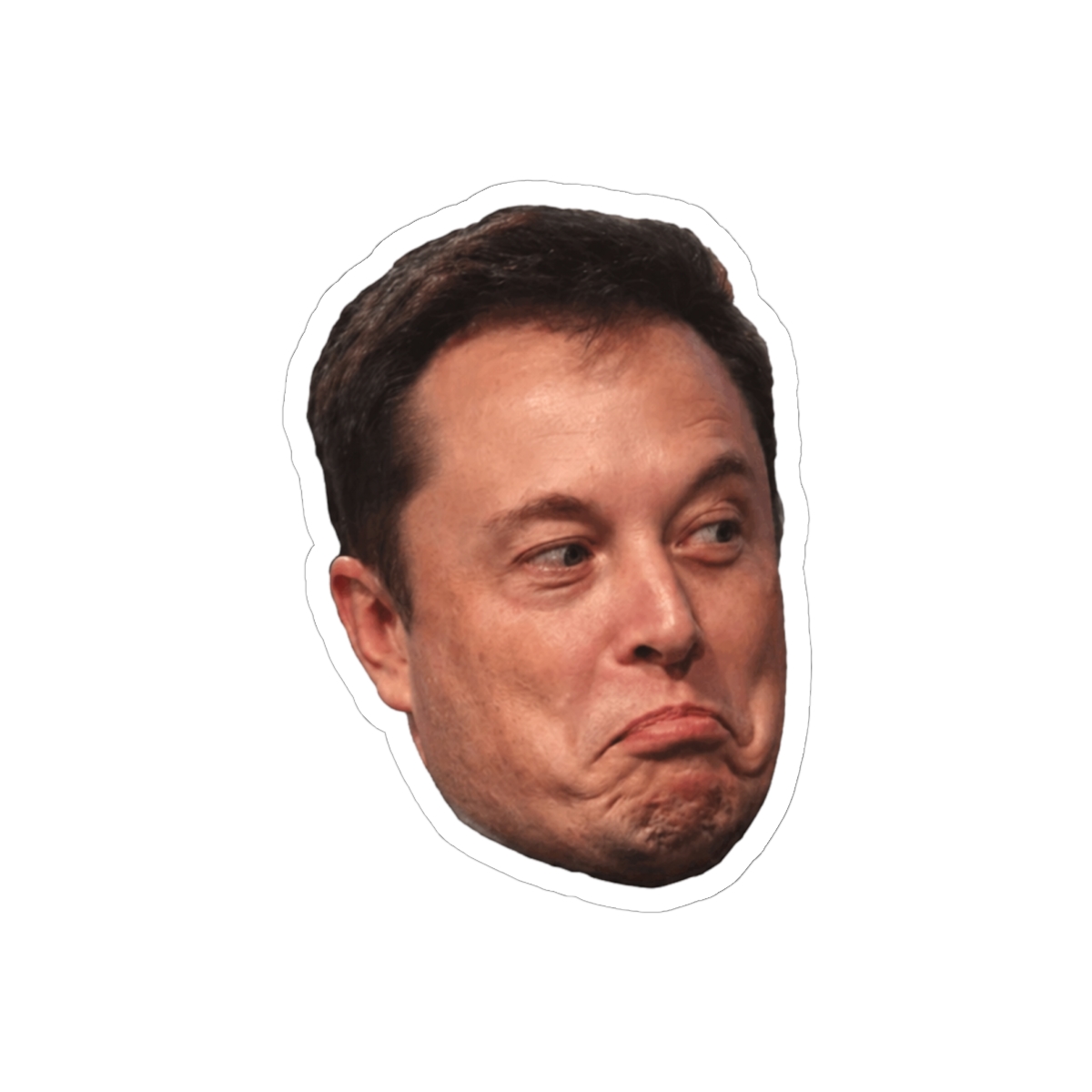 Elon Musk Meme Sticker | Funny Vinyl Decal for Tech Fans