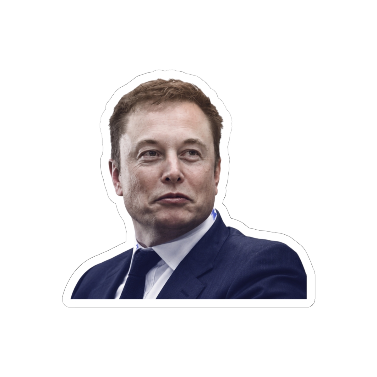 Elon Musk Visionary Bold Sticker | Vinyl Decal for Tech Fans